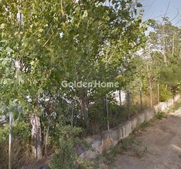 Αγροτεμάχια 12.217 τ.μ. πρός πώληση
