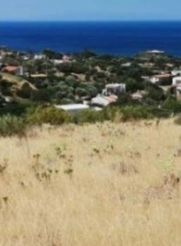 Land plot 20.000 sqm for sale