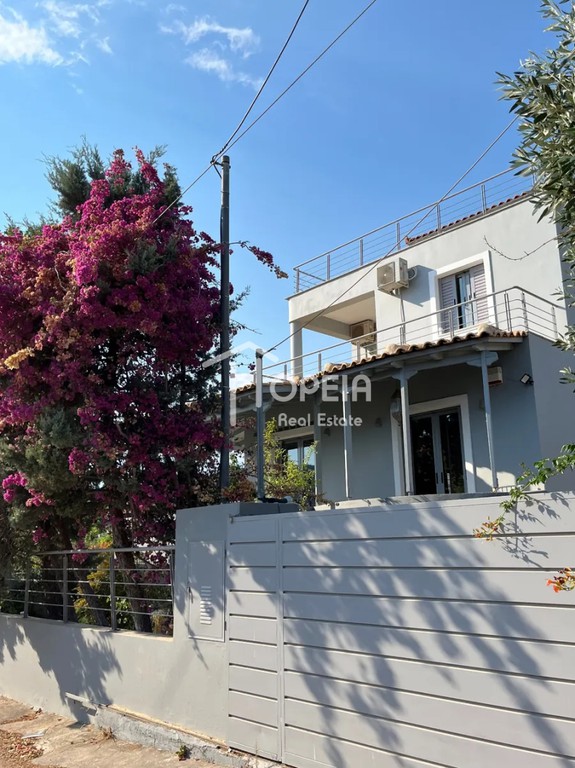 Μονοκατοικία 230 τ.μ. προς ενοικίαση, Λαγονήσι