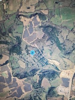 Parcel 10.000 sqm for sale