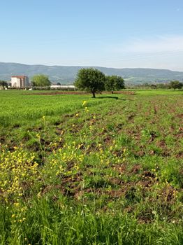 Αγροτεμάχιο - 3.500 sqm for sale