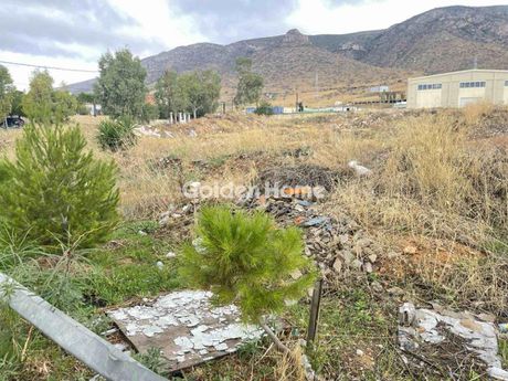 Οικόπεδο 4.630 τ.μ. προς ενοικίαση