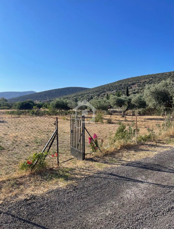 Αγροτεμάχια 492 τ.μ. προς πώληση, Κέντρο Μαρκοπούλου
