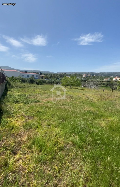 Αγροτεμάχια 2.800 τ.μ. πρός ενοικίαση, Ν. Ρεθύμνου, Αρκάδι
