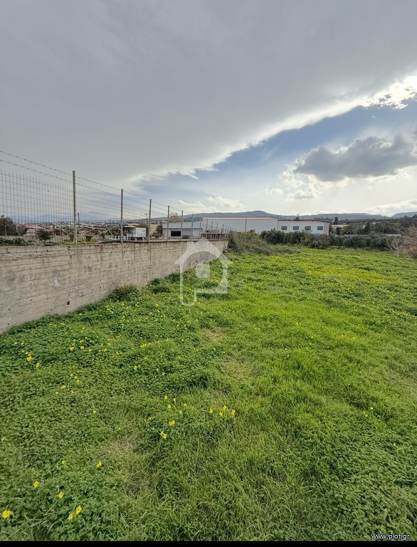 Αγροτεμάχια 2.800 τ.μ. πρός ενοικίαση, Ν. Ρεθύμνου, Αρκάδι