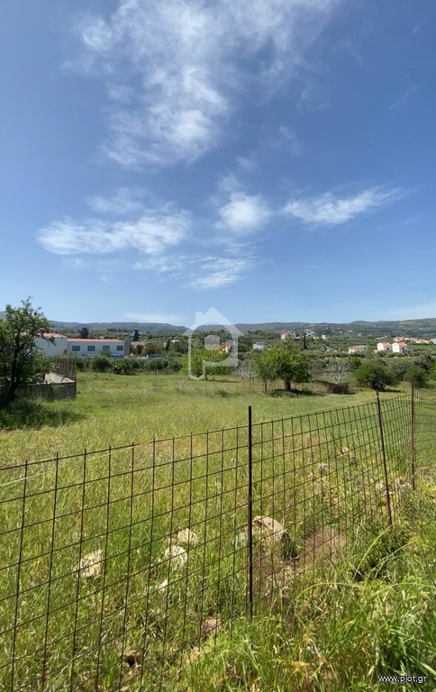 Αγροτεμάχια 2.800 τ.μ. πρός ενοικίαση, Ν. Ρεθύμνου, Αρκάδι