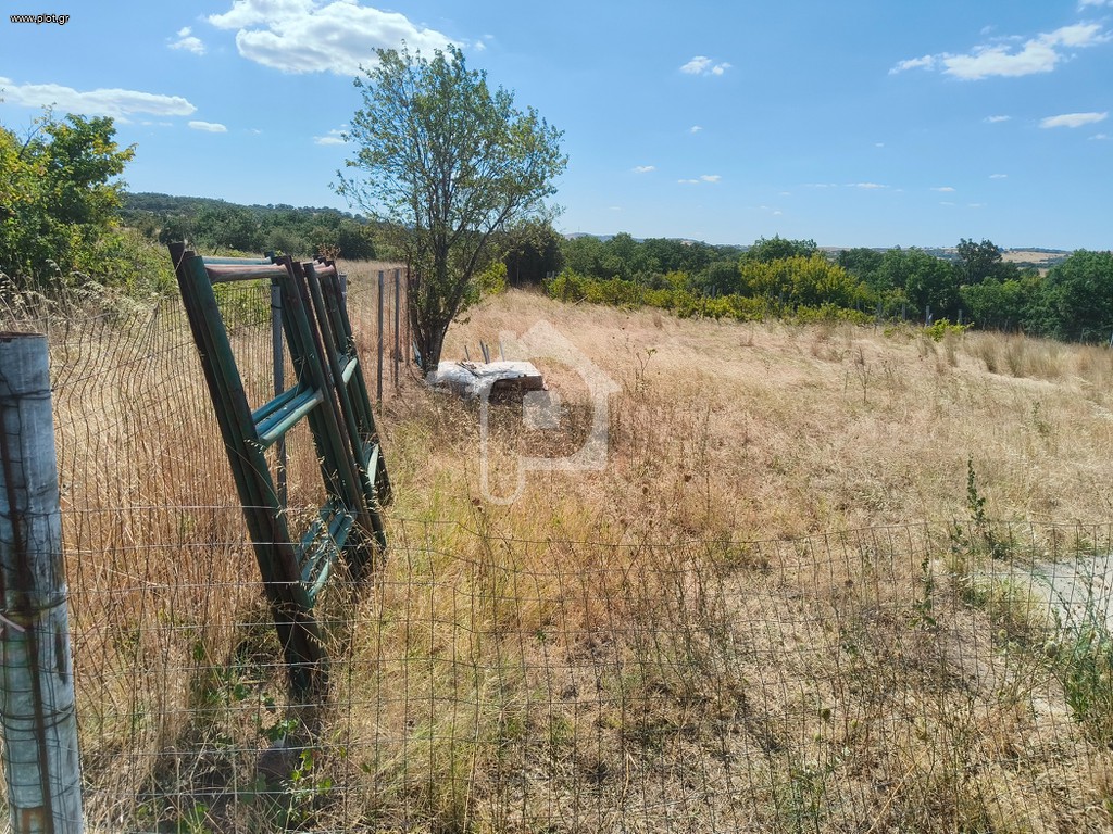 Αγροτεμάχια 1.580 τ.μ. πρός πώληση, Εβρος, Φέρες