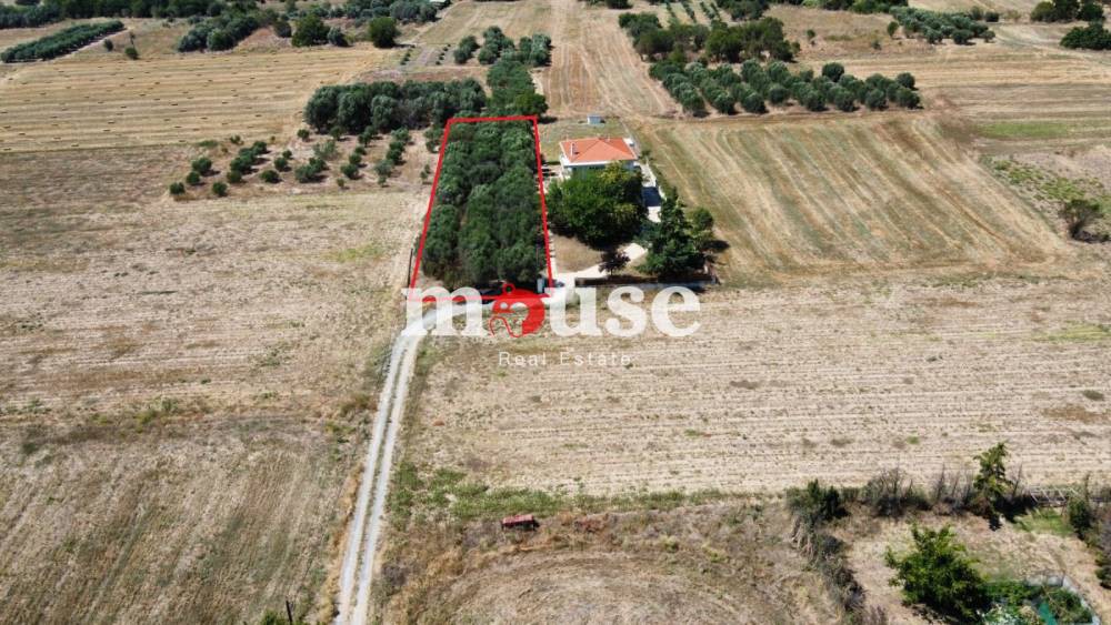Αγροτεμάχια 1.500 τ.μ. προς πώληση, Πύργος Επανομής