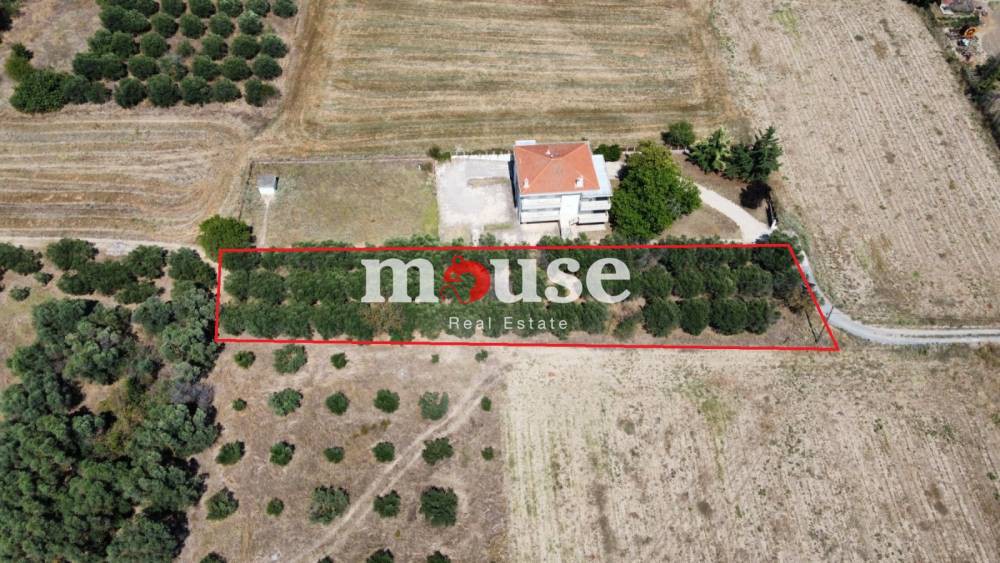 Αγροτεμάχια 1.500 τ.μ. προς πώληση, Πύργος Επανομής