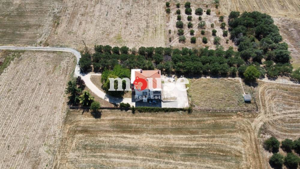 Αγροτεμάχια 1.500 τ.μ. προς πώληση, Πύργος Επανομής
