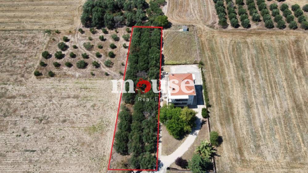 Αγροτεμάχια 1.500 τ.μ. προς πώληση, Πύργος Επανομής