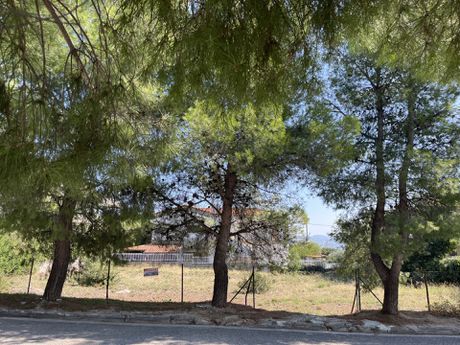Οικόπεδο 1.017 τ.μ. πρός πώληση