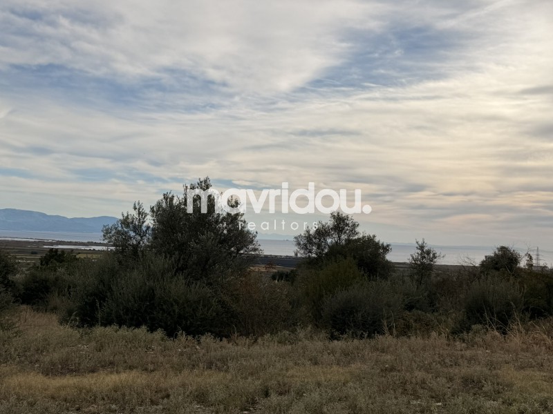 Οικόπεδο 1.054 τ.μ. πρός πώληση, Ν. Καβάλας, Χρυσούπολη