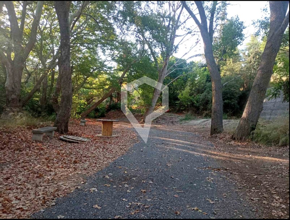 Οικόπεδο 2.300 τ.μ. προς πώληση, Προσκυνάς