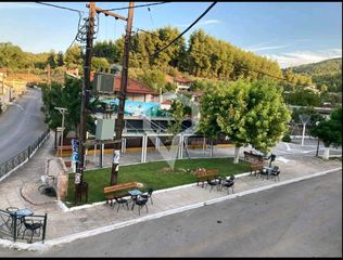 Οικόπεδο 2.300 τ.μ. πρός πώληση