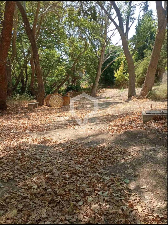 Οικόπεδο 2.300 τ.μ. προς πώληση, Προσκυνάς