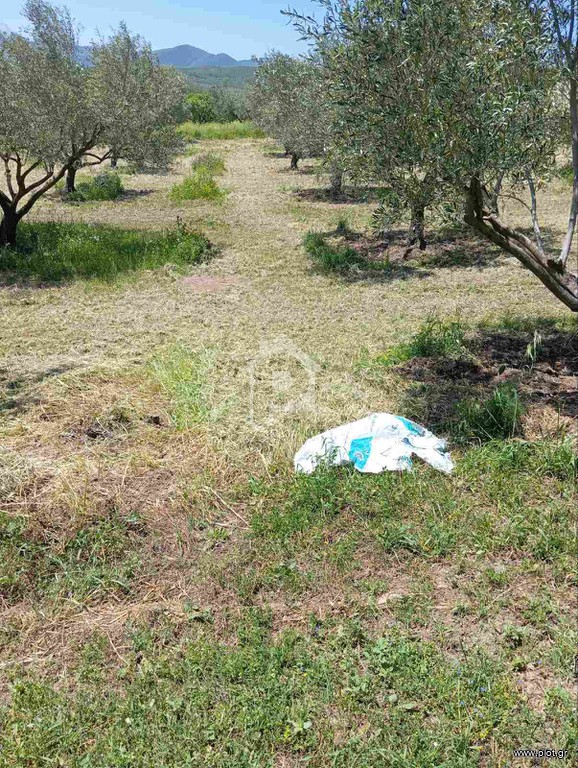 Αγροτεμάχια 3.000 τ.μ. πρός πώληση, Φθιώτιδας, Μακρακώμη