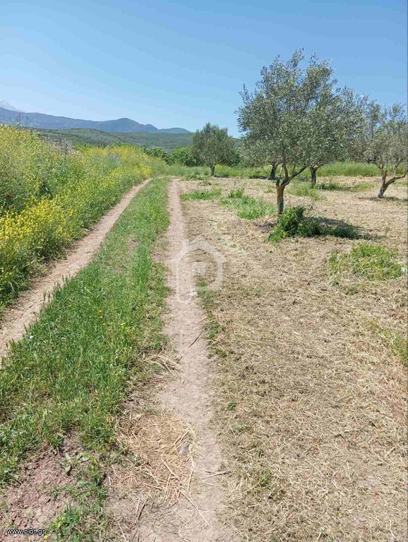 Αγροτεμάχια 3.000 τ.μ. πρός πώληση, Φθιώτιδας, Μακρακώμη