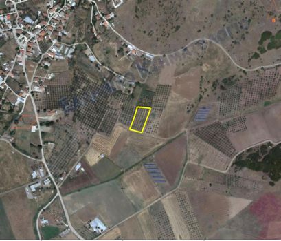 Parcel 3.000 sqm for sale