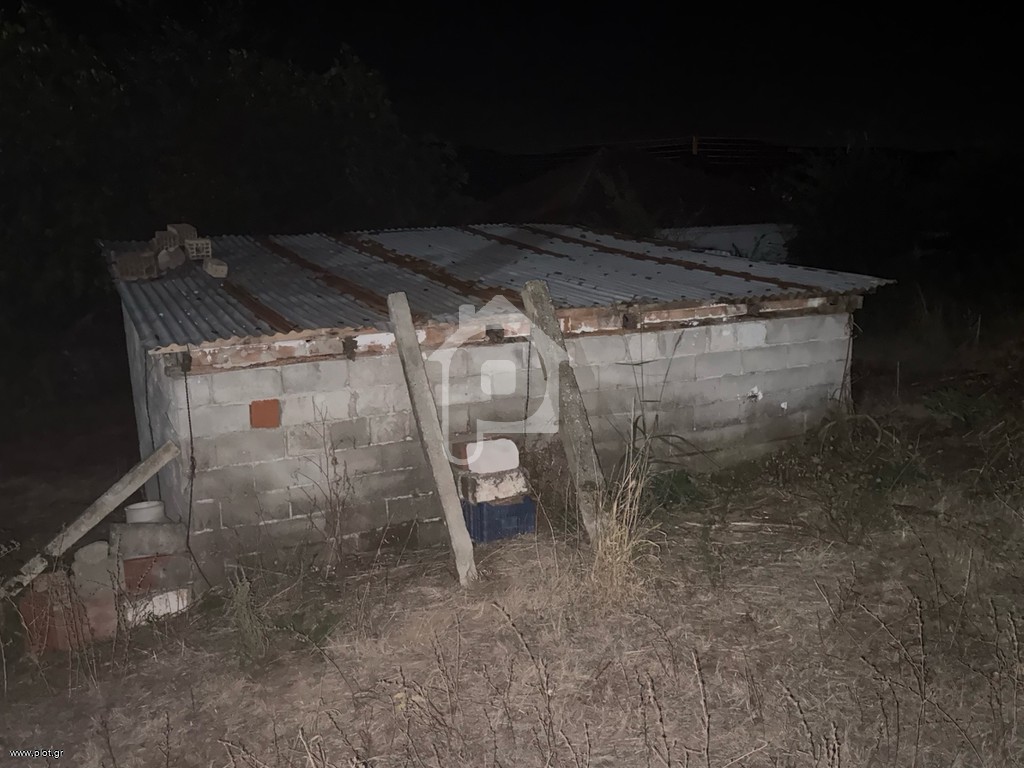 Οικόπεδο 60 τ.μ. προς ενοικίαση, Ξιφιανή