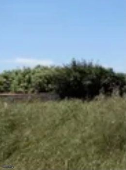 Οικόπεδο 64.000 τ.μ. προς πώληση