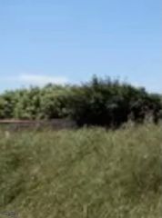 Land plot 64.000 sqm for sale