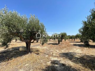 Οικόπεδο 6.000 τ.μ. προς πώληση, Ιεράπετρα-thumb-1