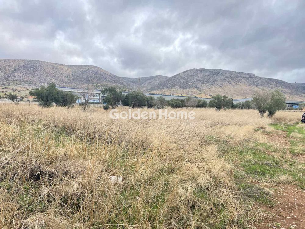 Οικόπεδο 20.000 τ.μ. προς πώληση, Πάτημα Ασπροπύργου