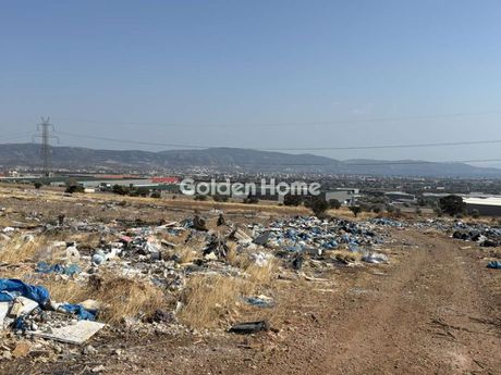 Οικόπεδο 6.000 τ.μ. προς ενοικίαση