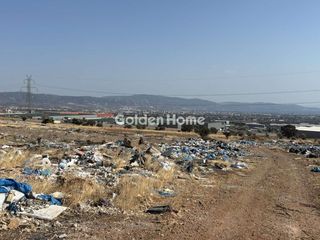 Οικόπεδο 12.000 τ.μ. προς ενοικίαση