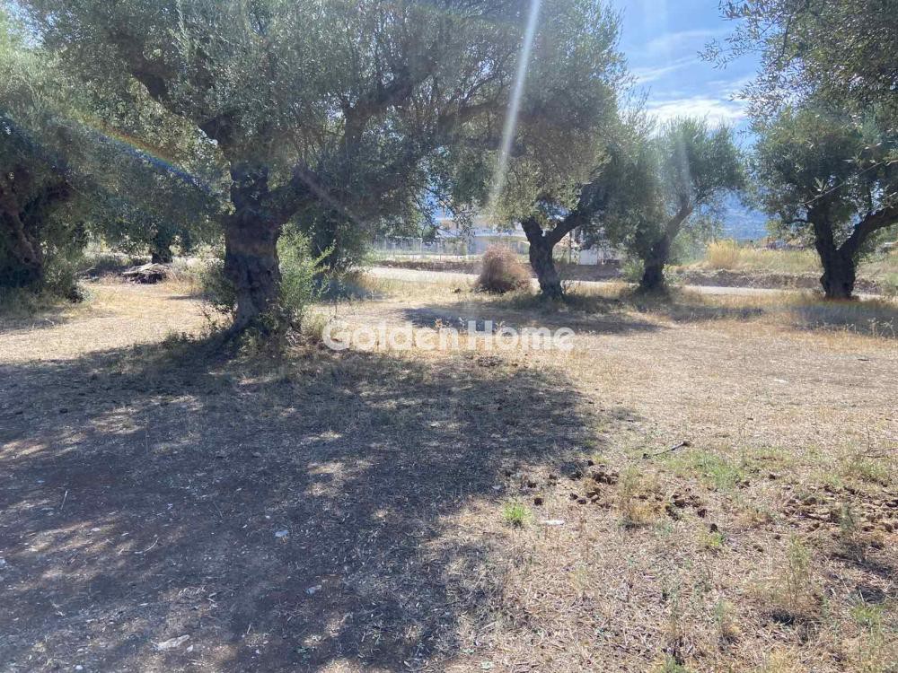 Οικόπεδο 184 τ.μ. προς πώληση, Περιβόλια Πάτρας