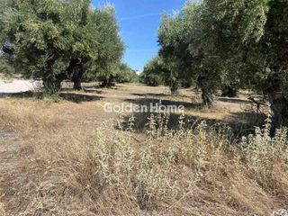 Οικόπεδο 520 τ.μ. προς πώληση, Περιβόλια Πάτρας-thumb-5