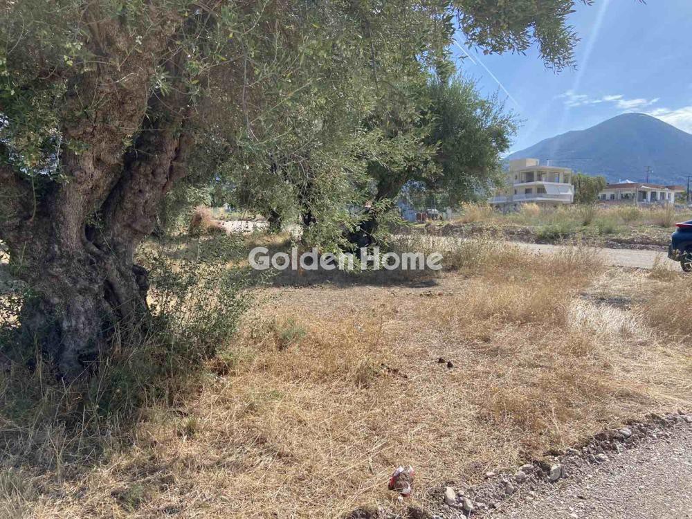 Οικόπεδο 520 τ.μ. προς πώληση, Περιβόλια Πάτρας
