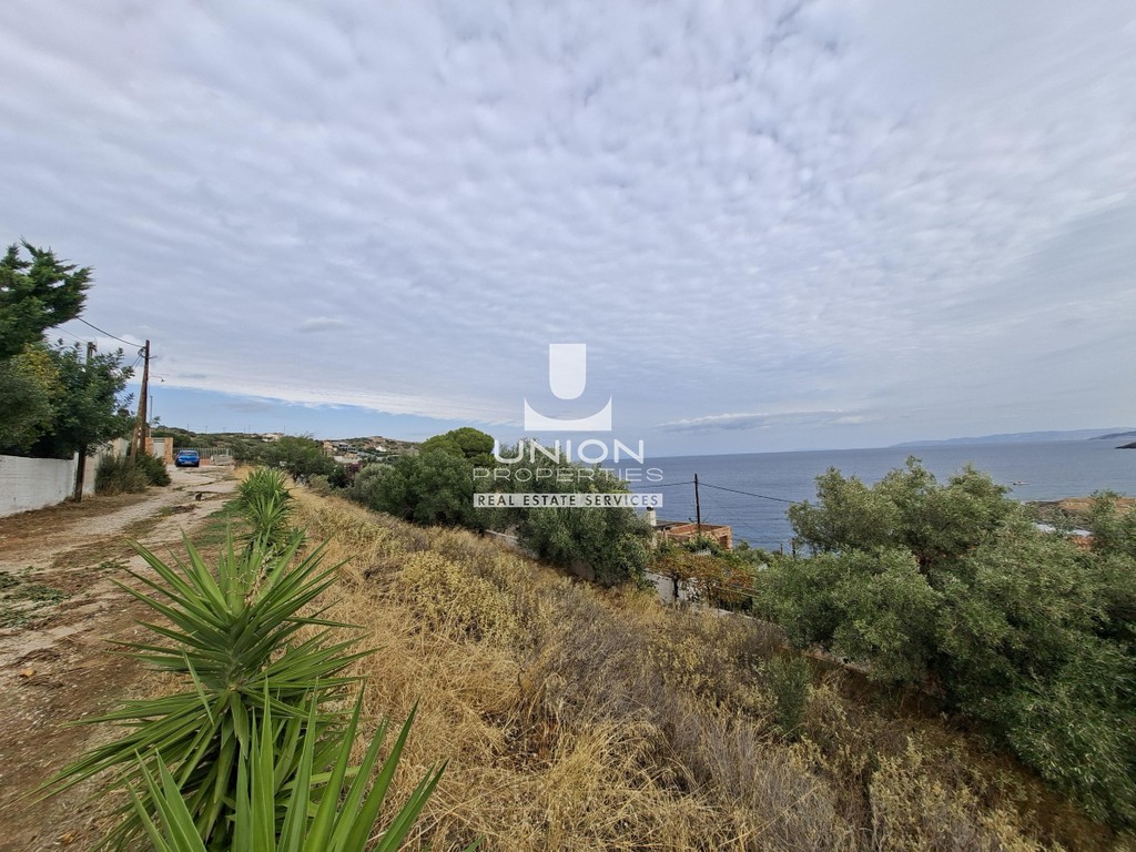 Αγροτεμάχια 1.424 τ.μ. προς πώληση, Παραλία Δασκαλειού
