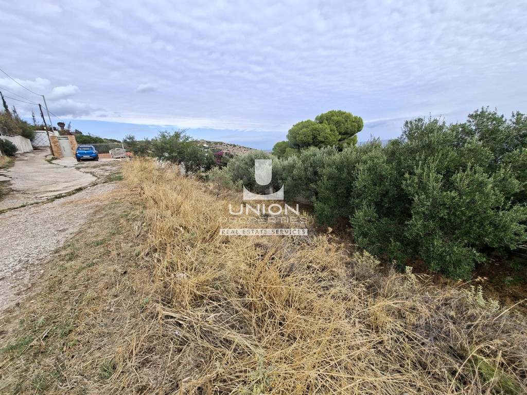 Αγροτεμάχια 1.424 τ.μ. προς πώληση, Παραλία Δασκαλειού
