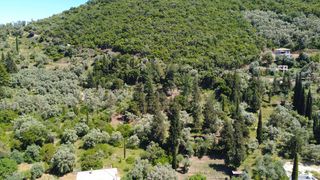 Οικόπεδο 2.242 τ.μ. προς πώληση, Ελλόμενο-thumb-23