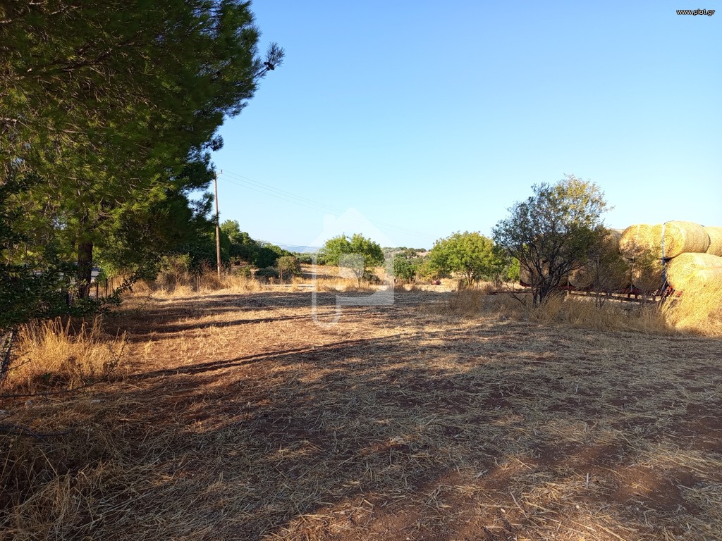 Οικόπεδο 6.443 τ.μ. πρός πώληση, Ν. Λέσβου, Λέσβος - Πολιχνίτος