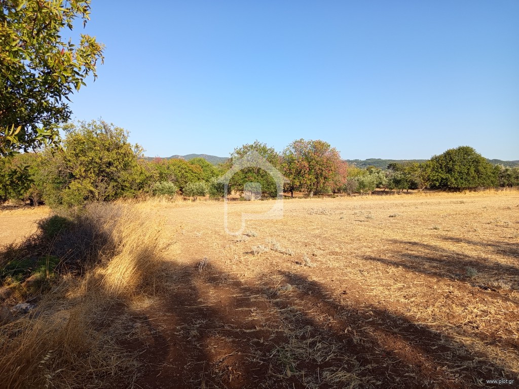 Οικόπεδο 6.443 τ.μ. πρός πώληση, Ν. Λέσβου, Λέσβος - Πολιχνίτος