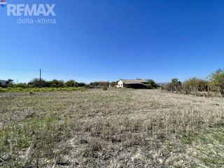 Αγροτεμάχια 10.391 τ.μ. προς πώληση, Κέντρο Γιαννούλης Λάρισας-thumb-6