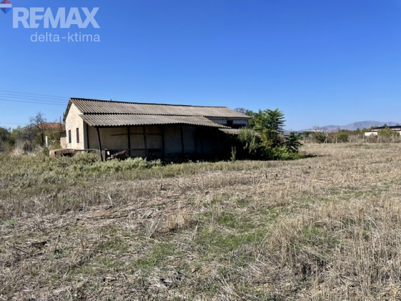 Αγροτεμάχια 10.391 τ.μ. προς πώληση, Κέντρο Γιαννούλης Λάρισας