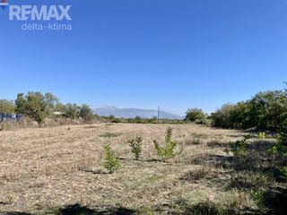 Αγροτεμάχια 10.391 τ.μ. προς πώληση, Κέντρο Γιαννούλης Λάρισας-thumb-9