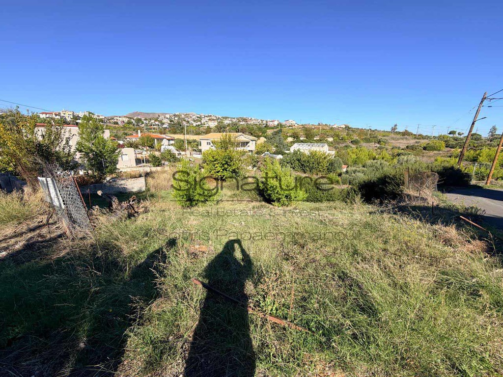 Οικόπεδο 325 τ.μ. προς πώληση, Ραφήνα