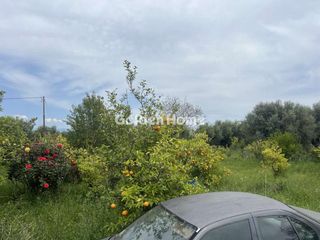 Detached home 151 sqm for sale