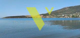 Οικόπεδο 7.481 τ.μ. προς πώληση, Ελαφολίμανο-thumb-3
