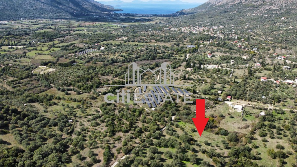 Οικόπεδο 1.128,20 τ.μ. προς πώληση, Σκορπιώνα