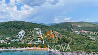 Οικόπεδο 13.500 τ.μ. προς πώληση, Βατοπέδι-thumb-2