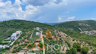 Οικόπεδο 13.500 τ.μ. προς πώληση, Βατοπέδι-thumb-3