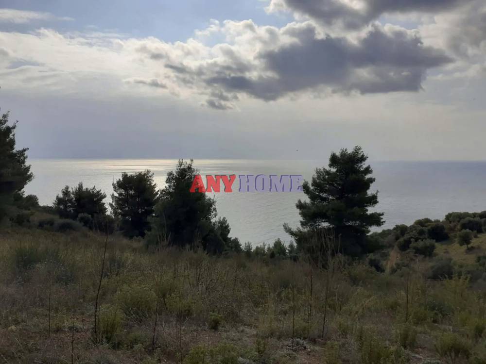 Αγροτεμάχια 7.000 τ.μ. προς πώληση, Λουτρά Παλλήνης