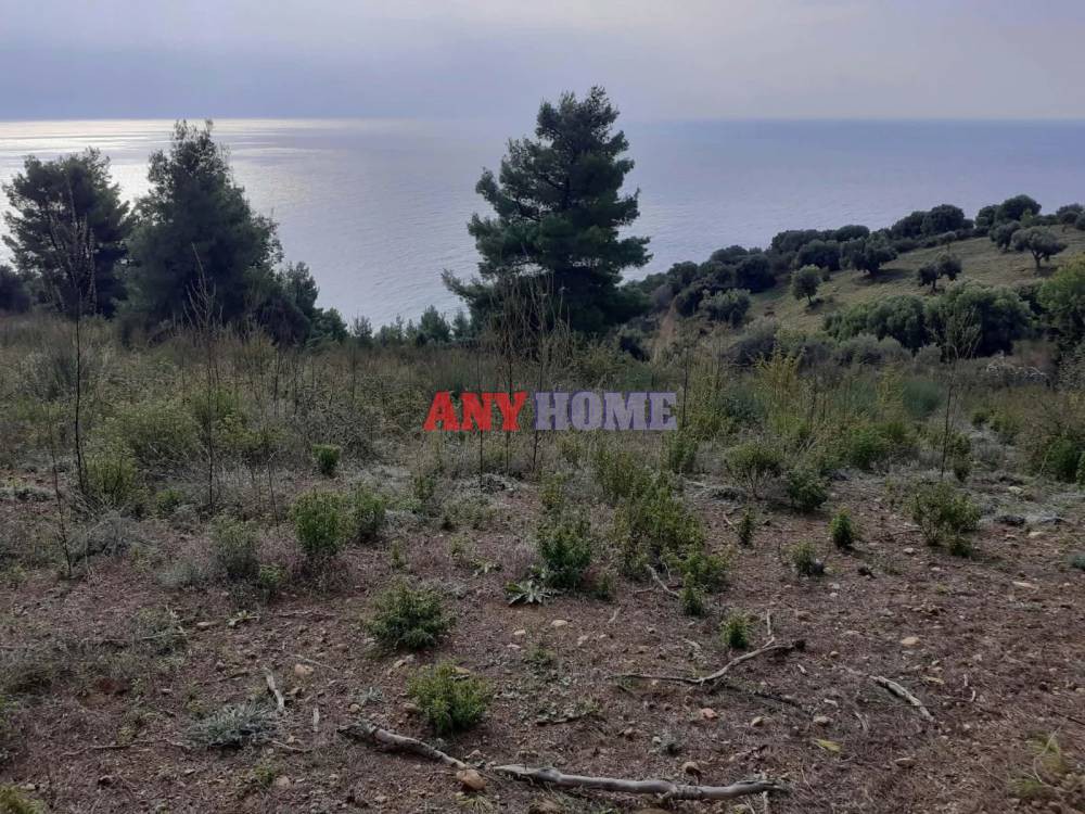 Αγροτεμάχια 7.000 τ.μ. προς πώληση, Λουτρά Παλλήνης