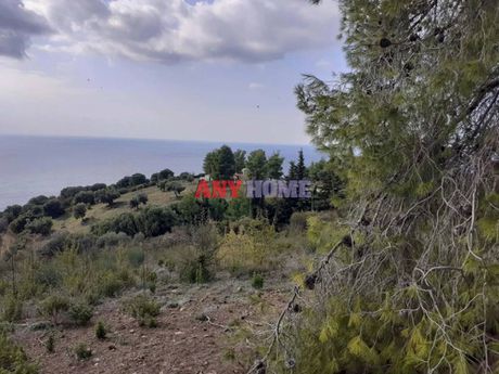 Parcel 7.000 sqm for sale